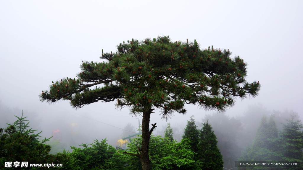 庐山 景点