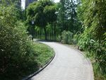 路口