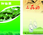 常见的健康蔬菜