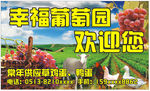 幸福葡萄园欢饮您