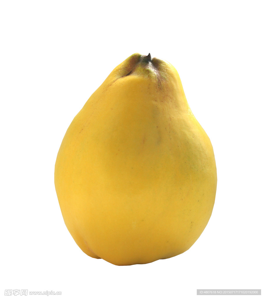 梨子