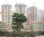 环境 摄影 素材
