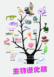 生物进化