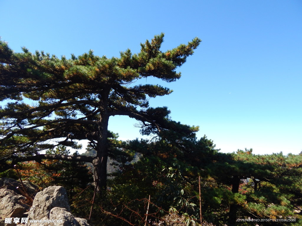 黄山风光 黄山旅游 黄山美景