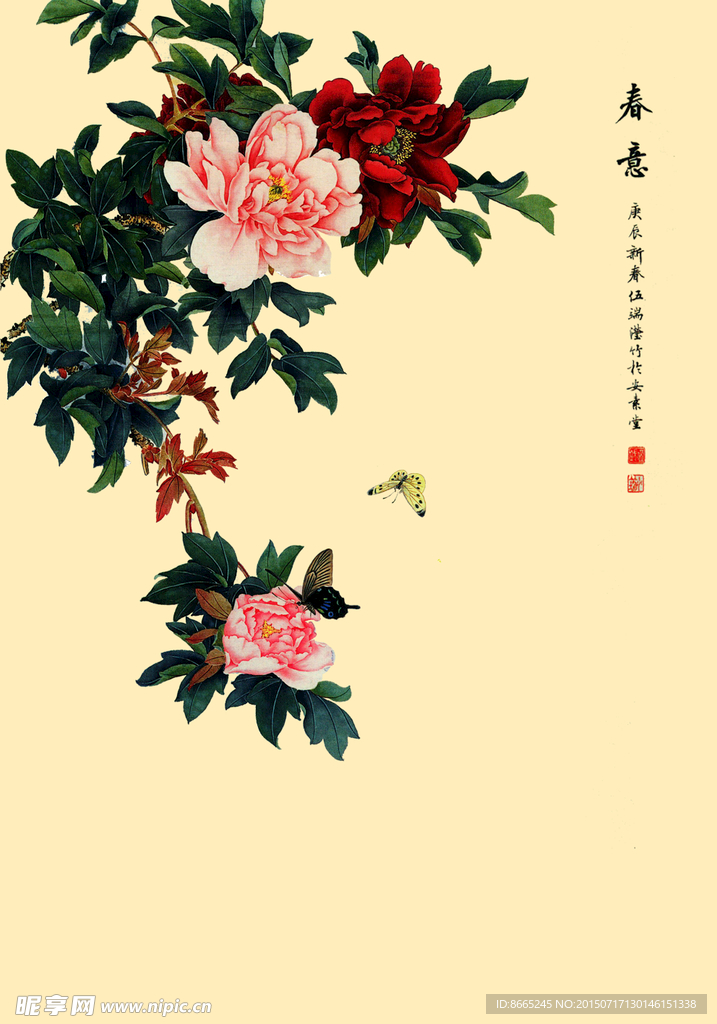 牡丹