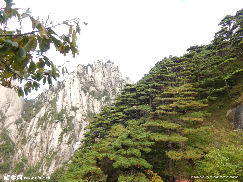 黄山风光 黄山旅游 黄山美景