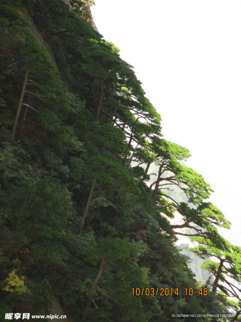 黄山风光