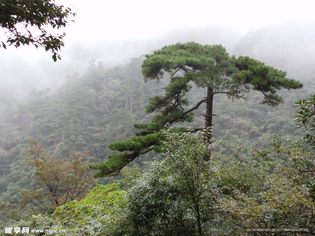 黄山风光