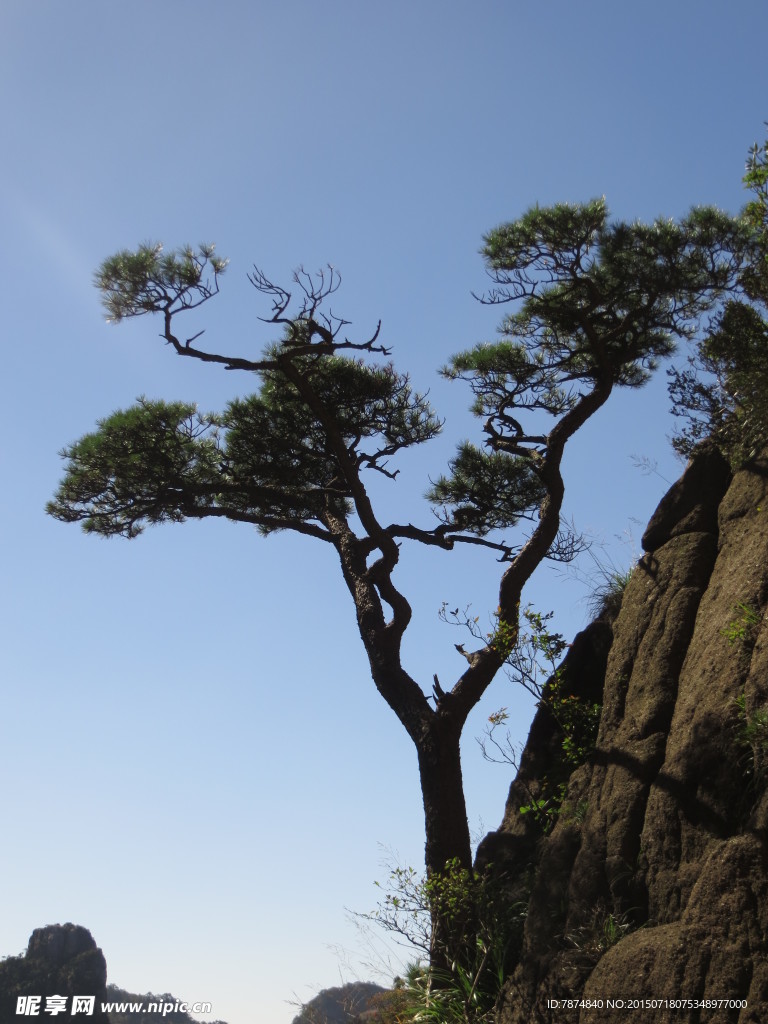 黄山风光
