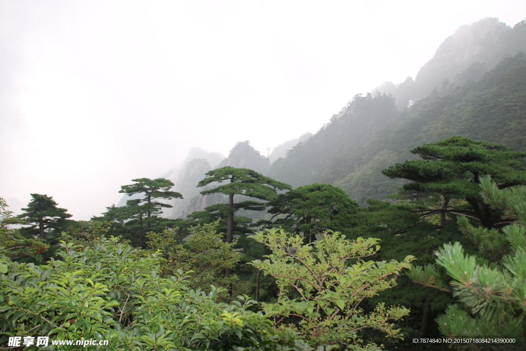 黄山风光