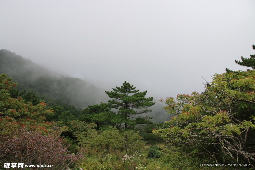 黄山风光