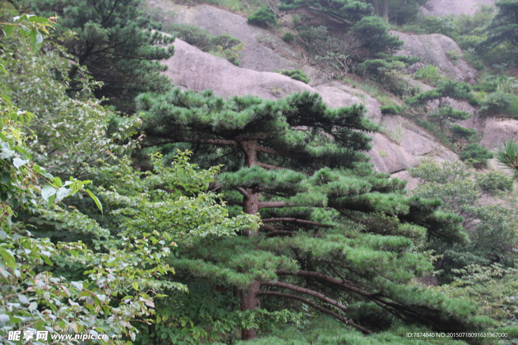 黄山风光