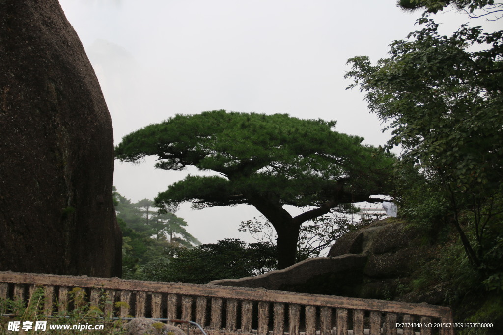 黄山风光