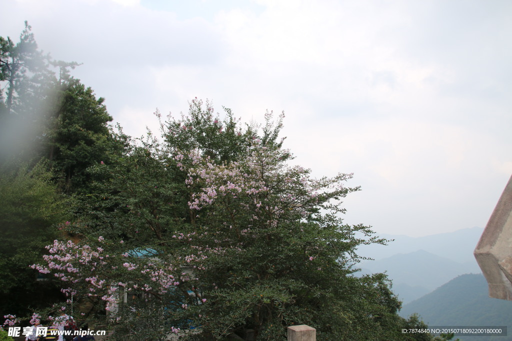 黄山风光