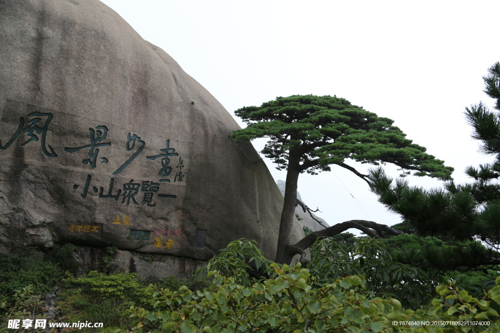 黄山迎客松