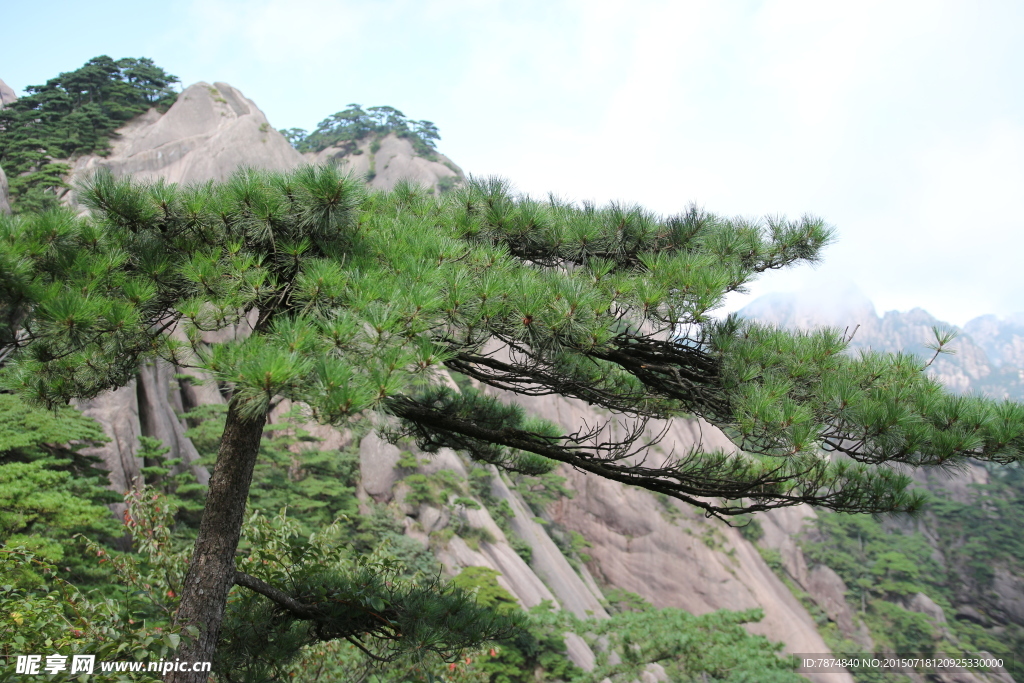 黄山风光