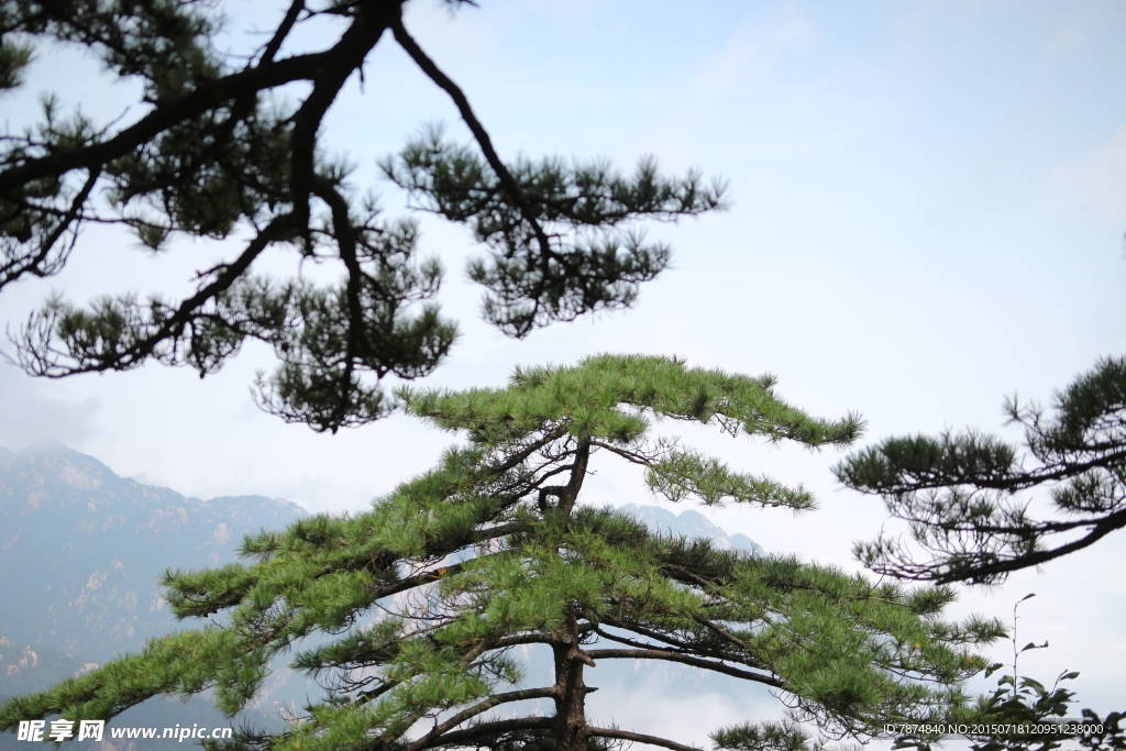 黄山风光