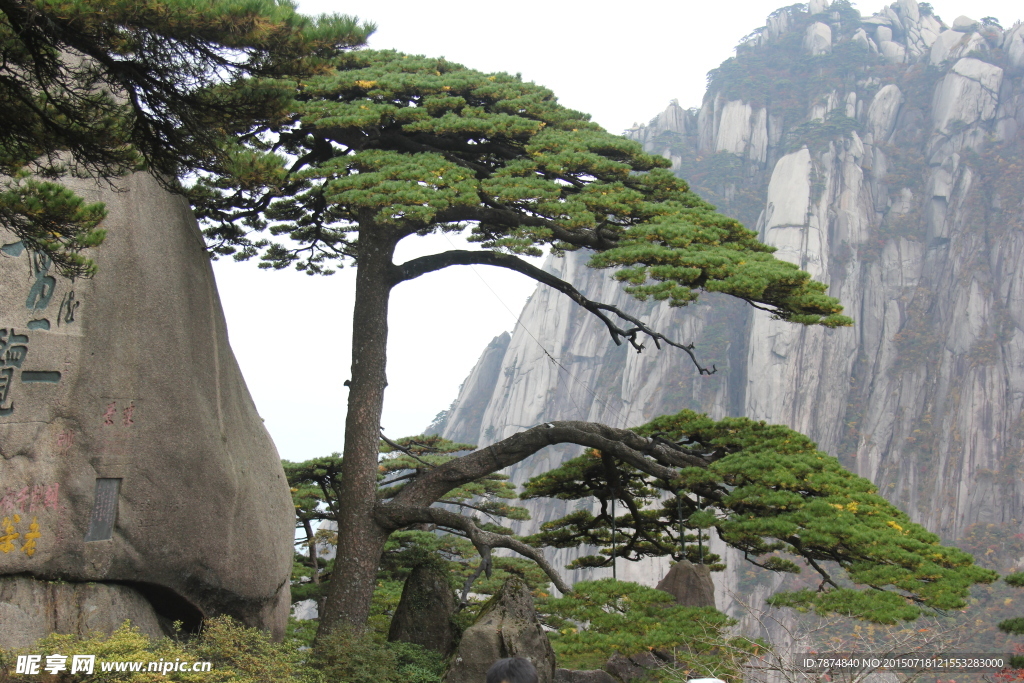 黄山风光