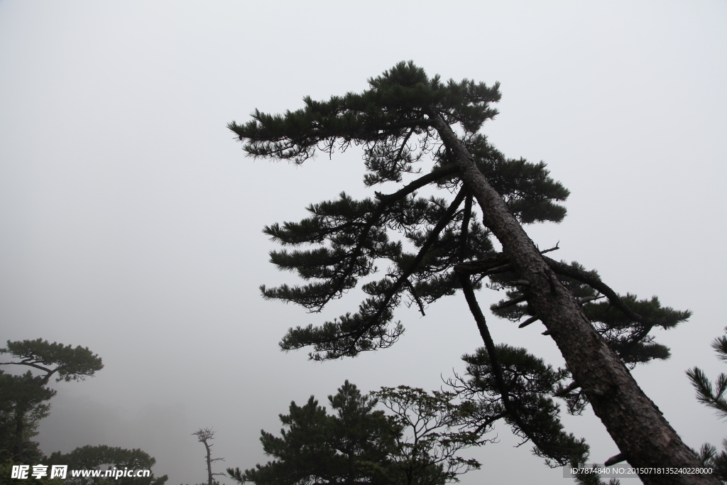 黄山风光