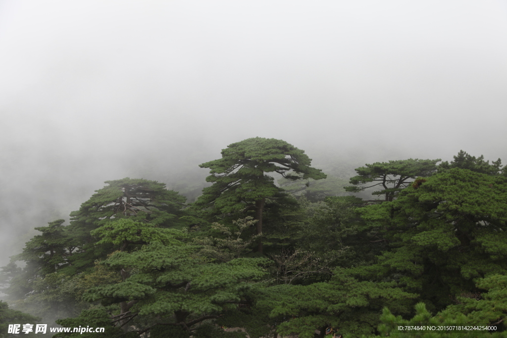 黄山风光