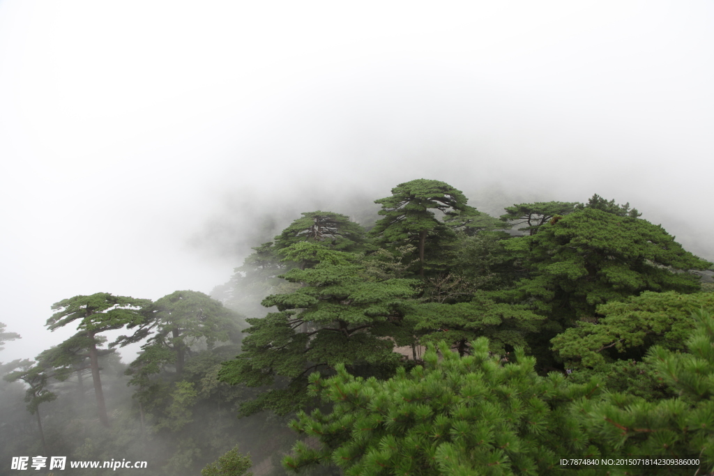 黄山风光