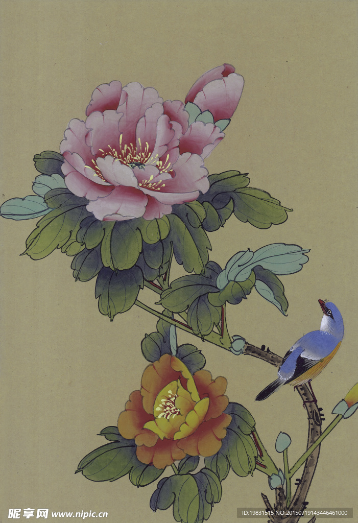 莫牡丹花和鸟