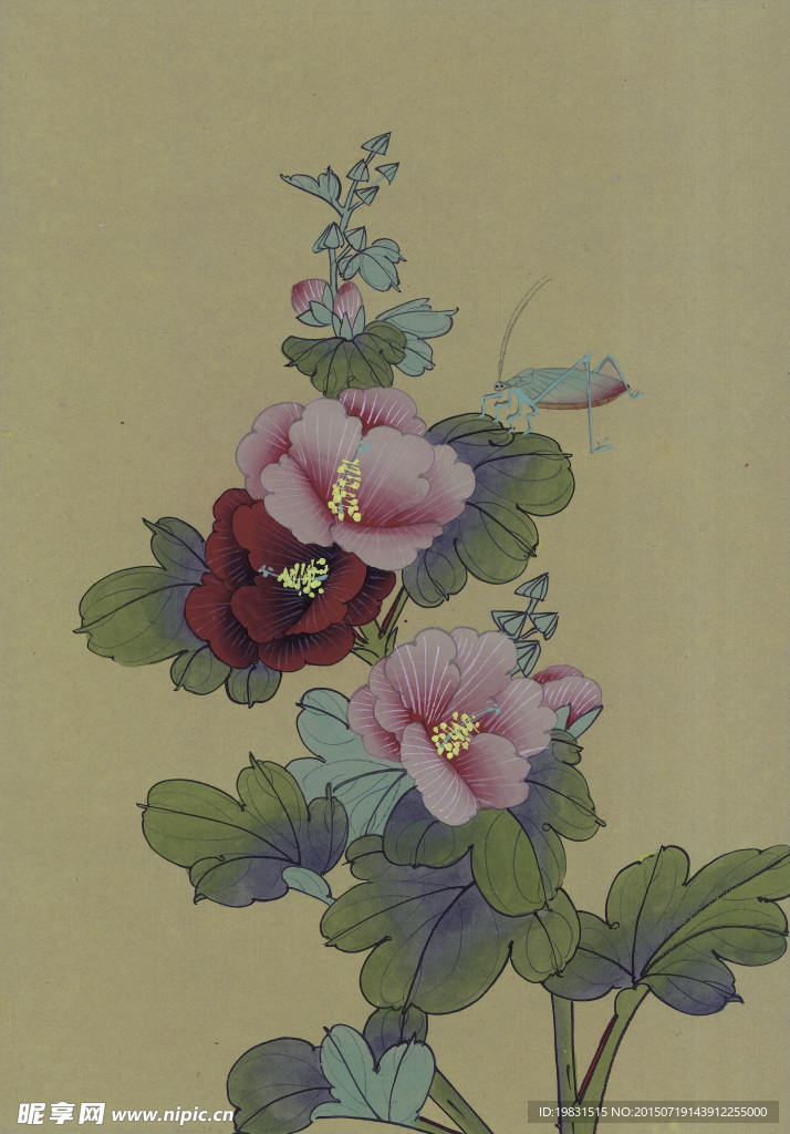 手绘国画花朵