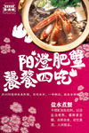 美食海报