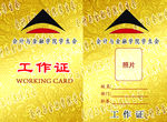 金色工作证