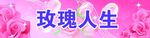 玫瑰花
