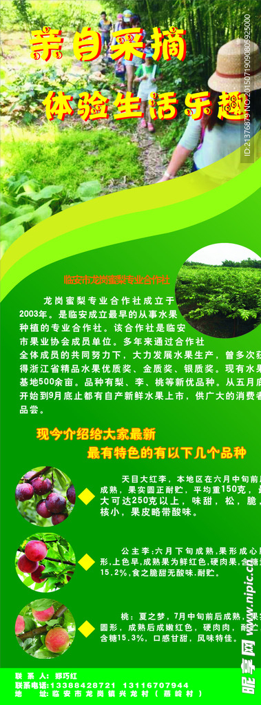水果