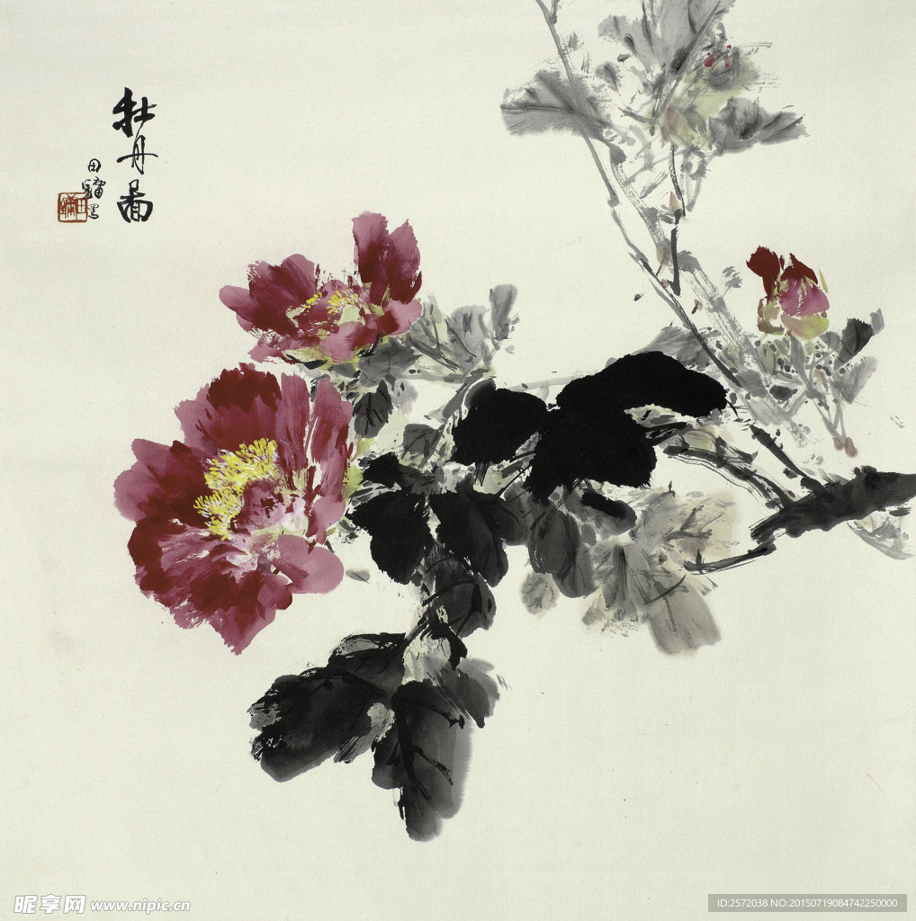 牡丹图