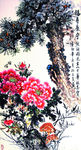 福寿康宁