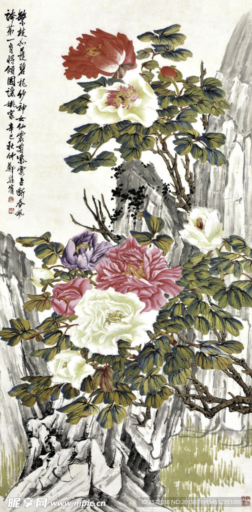 山中牡丹