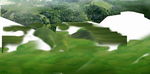 绿色草地素材