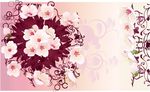 花束与花纹矢量图