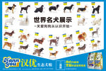 名犬展示图