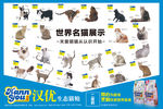 猫海报