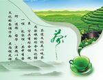 品茶设计