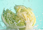 包菜