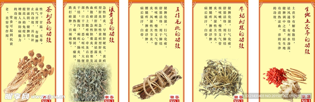 煲汤药材介绍