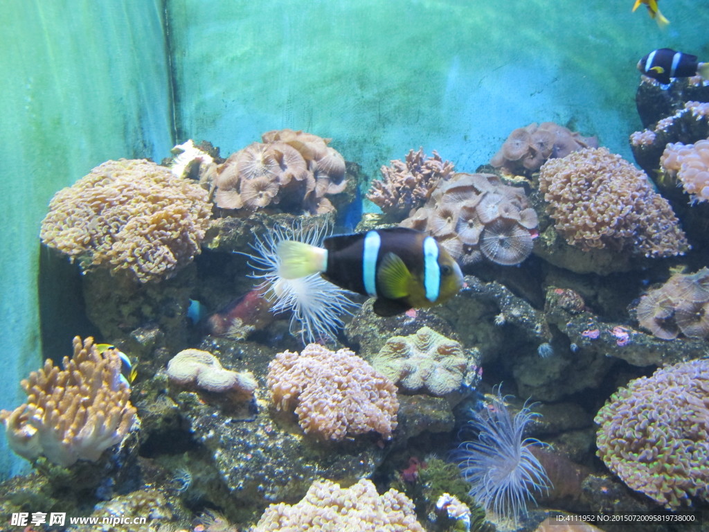 海底世界
