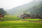桂林龙脊梯田景区