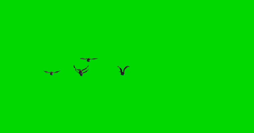 绿色背景小鸟