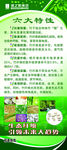 绿之韵展架