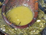 油茶