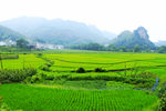 老虎山下田园风光
