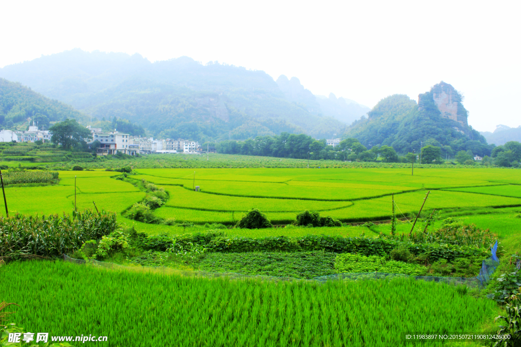 老虎山下田园风光