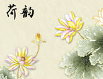 荷韵荷花图