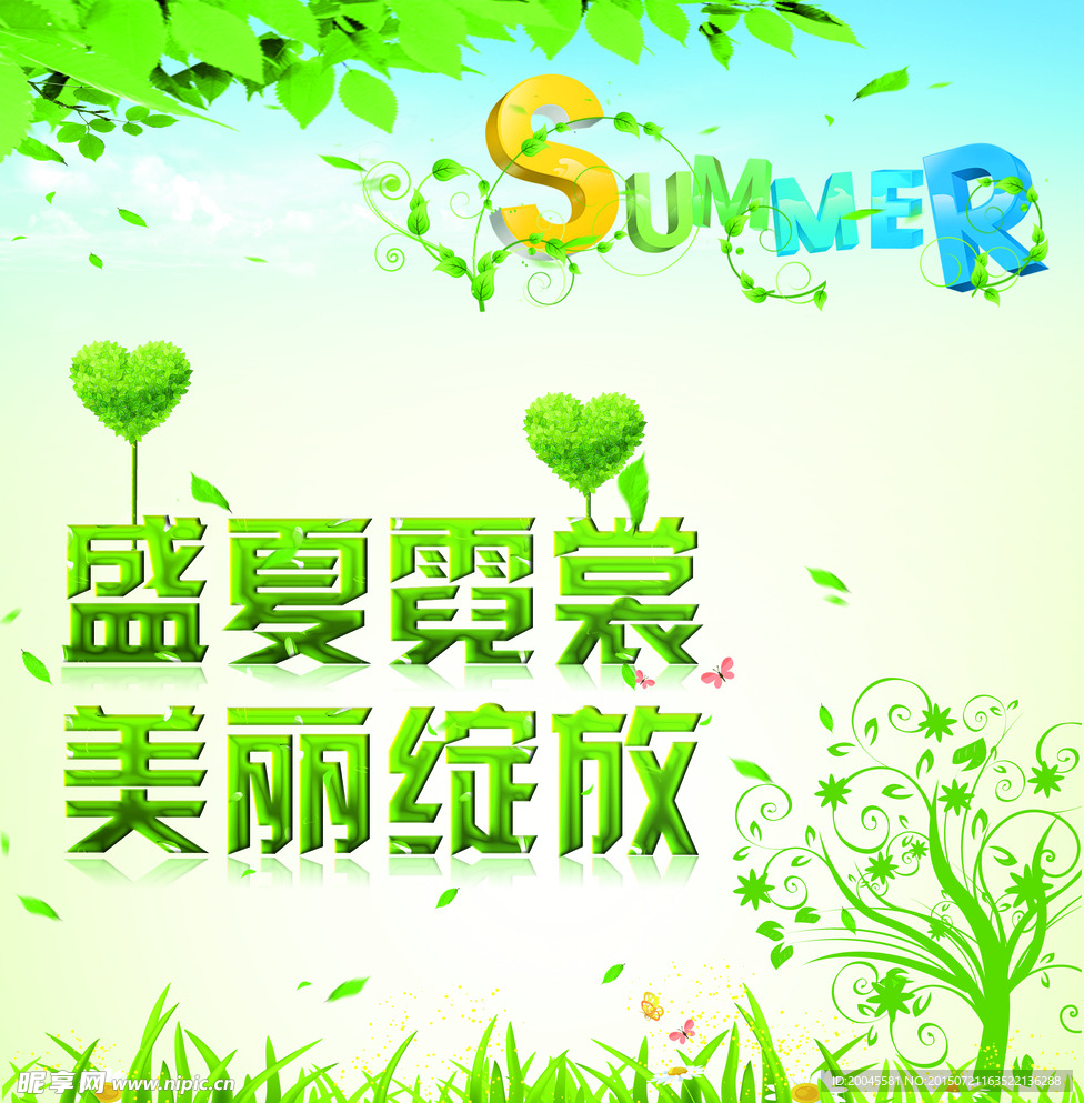 盛夏霓裳 美丽绽放